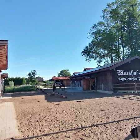Tiny X Im Marxhof Seebruck Am Chiemsee سيون-سيبروك المظهر الخارجي الصورة