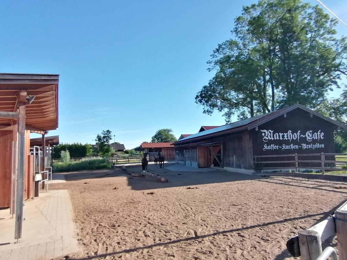 Tiny X Im Marxhof Seebruck Am Chiemsee سيون-سيبروك المظهر الخارجي الصورة