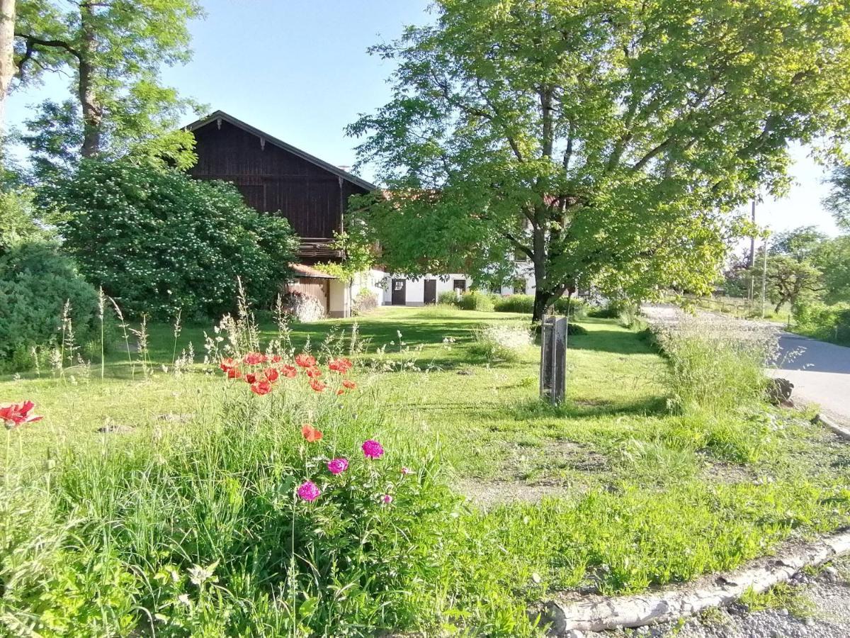 Tiny X Im Marxhof Seebruck Am Chiemsee سيون-سيبروك المظهر الخارجي الصورة